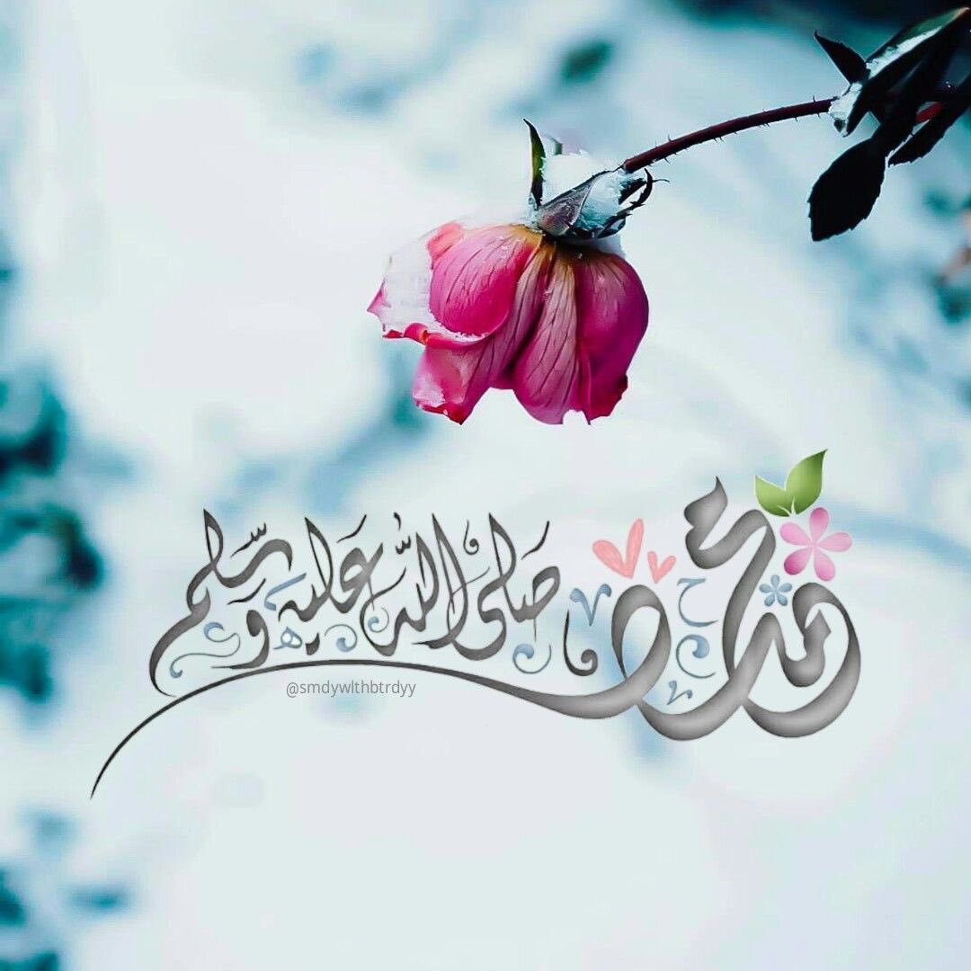 .       ⤹

"صَلّى عَليـك الله يَـا خَير الـــورى
مَا أَمطَرت مُزنٌ ومَا سَيلٌ جَرَى ﷺ"
اللهم صلي وسلم على نبينا محمدﷺ

#يوم_الجمعة