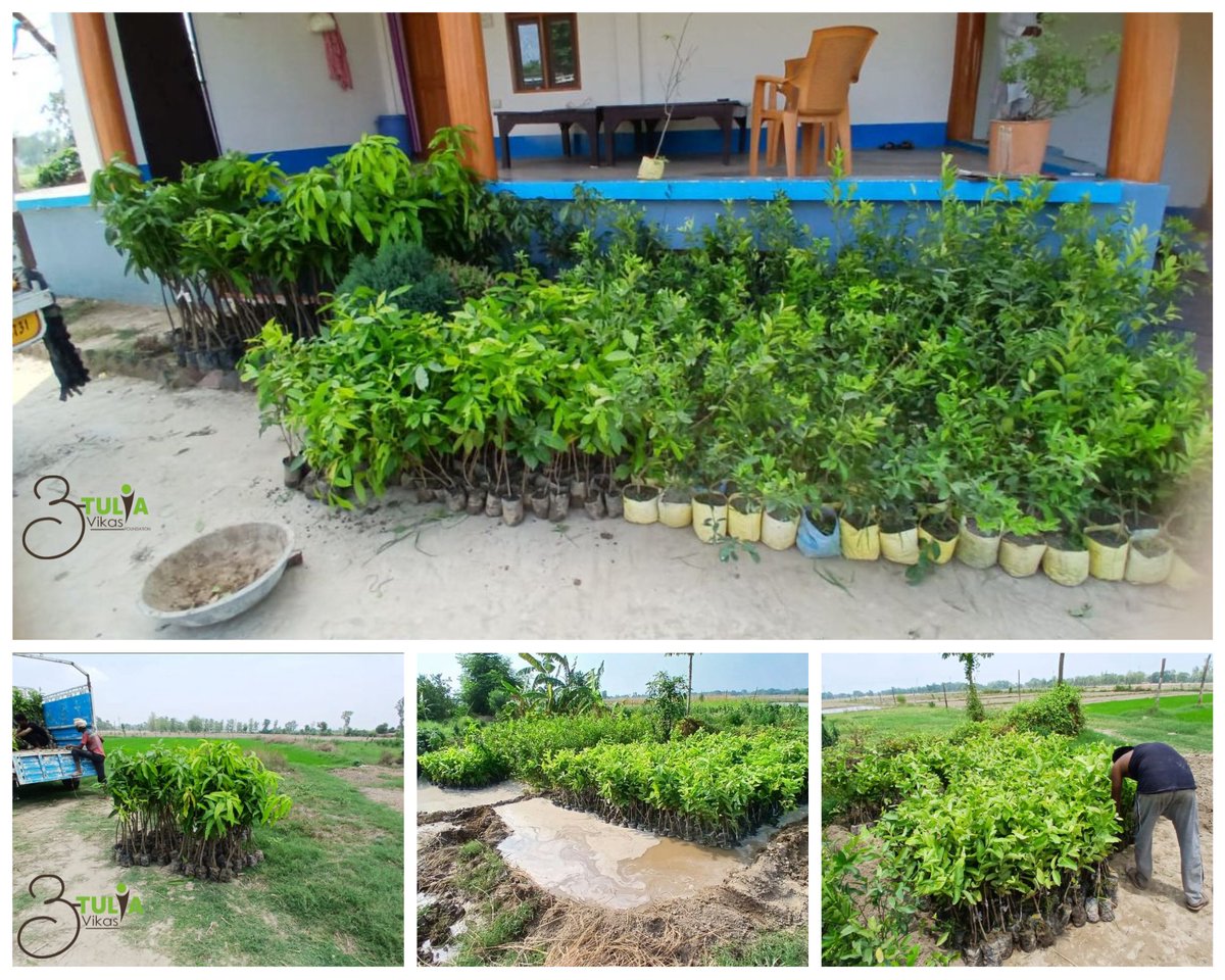 गोंडा-बहराइच के किसानों के लिए खुशखबरी! 🌳

हमारे ग्रामीण कृषि वानिकी परियोजना के तहत, गोंडा और बहराइच जिलों में 700 एकड़ भूमि पर 1.5 लाख पेड़ 🌳 लगाने का महाअभियान शुरू हो गया है!

#csr #plant #carboncredit #environmental  #ngo