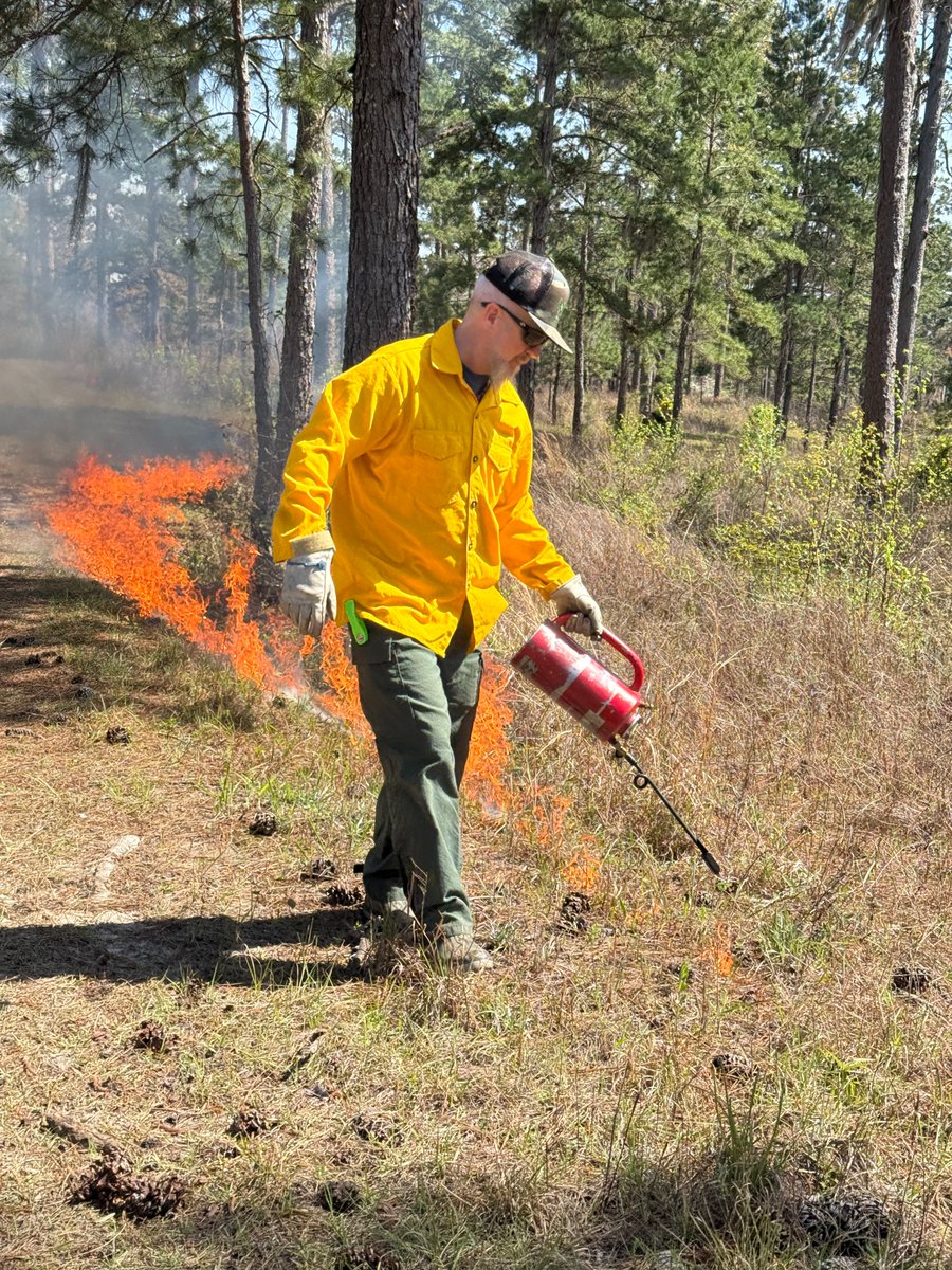 JJ Grey (@jjgreyandmofro) on Twitter photo More than 1200 people move here every day. If we’re not careful, we could lose these places of beauty.
🔥 Prescribed burns help Florida’s wild habitats thrive. I’m proud to stand with <a href="/livewildlyfl/">Live Wildly</a> in protecting our natural heritage. Join the effort: livewildly.com/join-the-movem…
📷: More than 1200 people move here every day. If we’re not careful, we could lose these places of beauty.
🔥 Prescribed burns help Florida’s wild habitats thrive. I’m proud to stand with <a href="/livewildlyfl/">Live Wildly</a> in protecting our natural heritage. Join the effort: livewildly.com/join-the-movem…
📷: