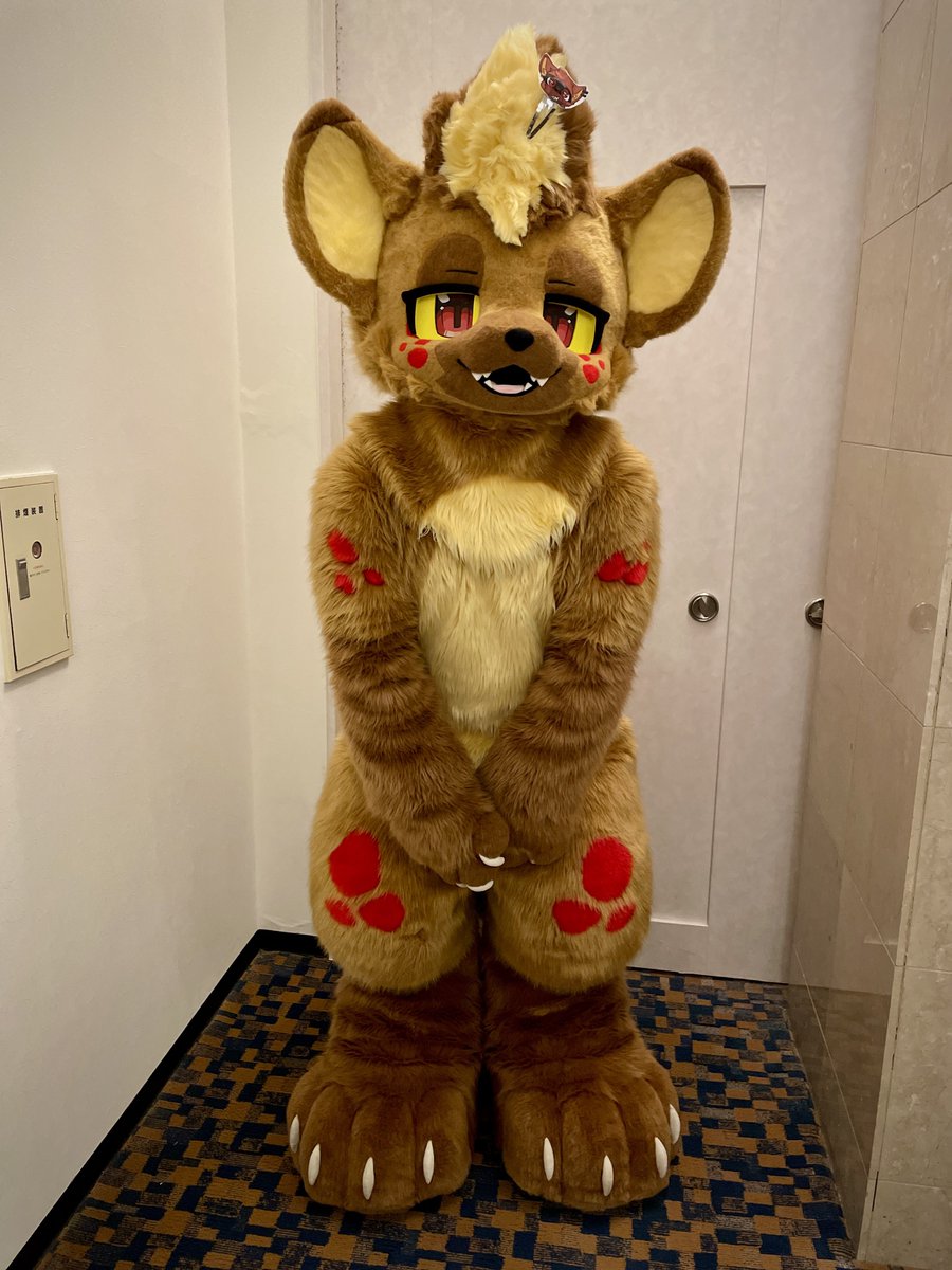 ナイトロ君
今年のJMoFで会えました✨　とっても可愛かったです☺️
撮らせてくれてありがとうございます！