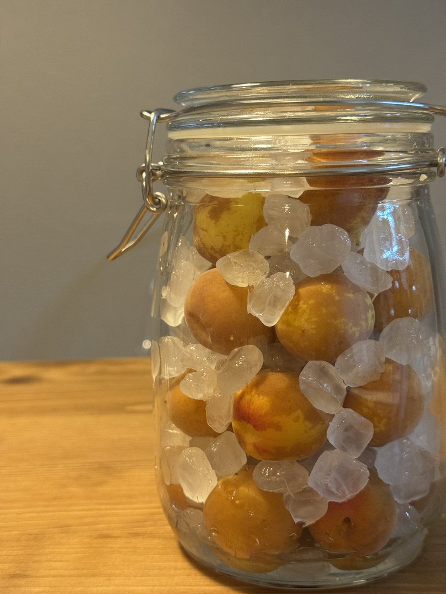 梅シロ

今年は青梅じゃなくて完熟梅。
色変わる&amp;砂糖とけるのはや👀