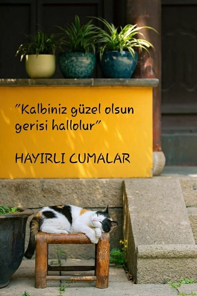 Gönlümüzü hoş tutanların 
gönülleri hoş olsun 😇
Günaydın 
Mutlu Sabahlar 
Sağlıklı Huzurlu Güzel Günler 
Hayırlı cumalar 🌹
🤗☕🌅🐞🦋🍃☀️🍫🕊️🇹🇷