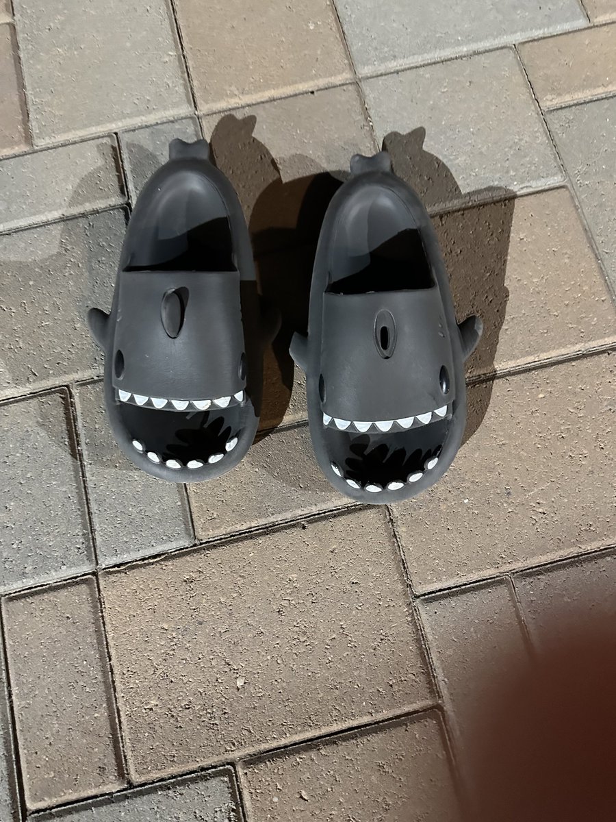 Stefanie Banner tweet media