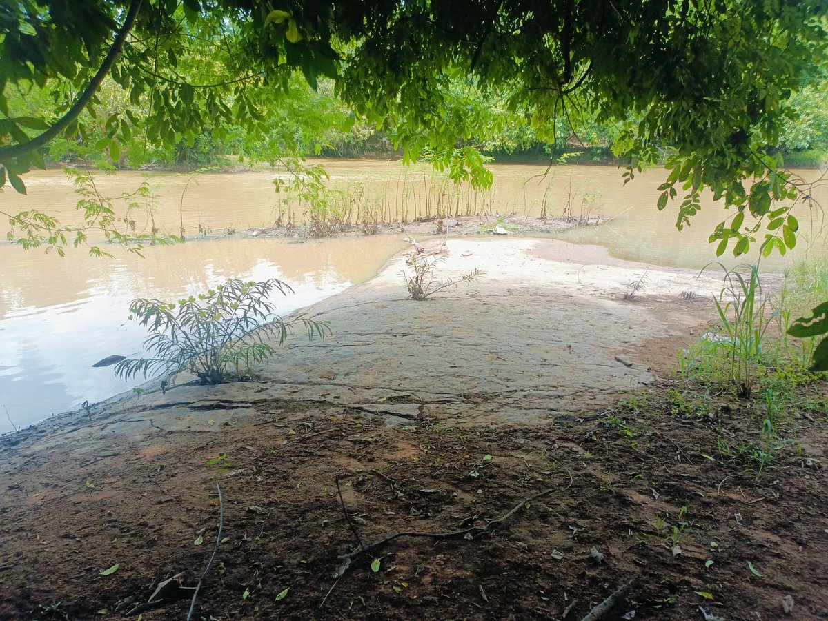 เด็กซนๆมีมั้ย