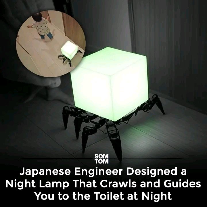 mothchilld's tweet image. Help 😭😦 
$MOTH hates spiders
But $MOTH loves lamp 🤤🤤
What to do ?