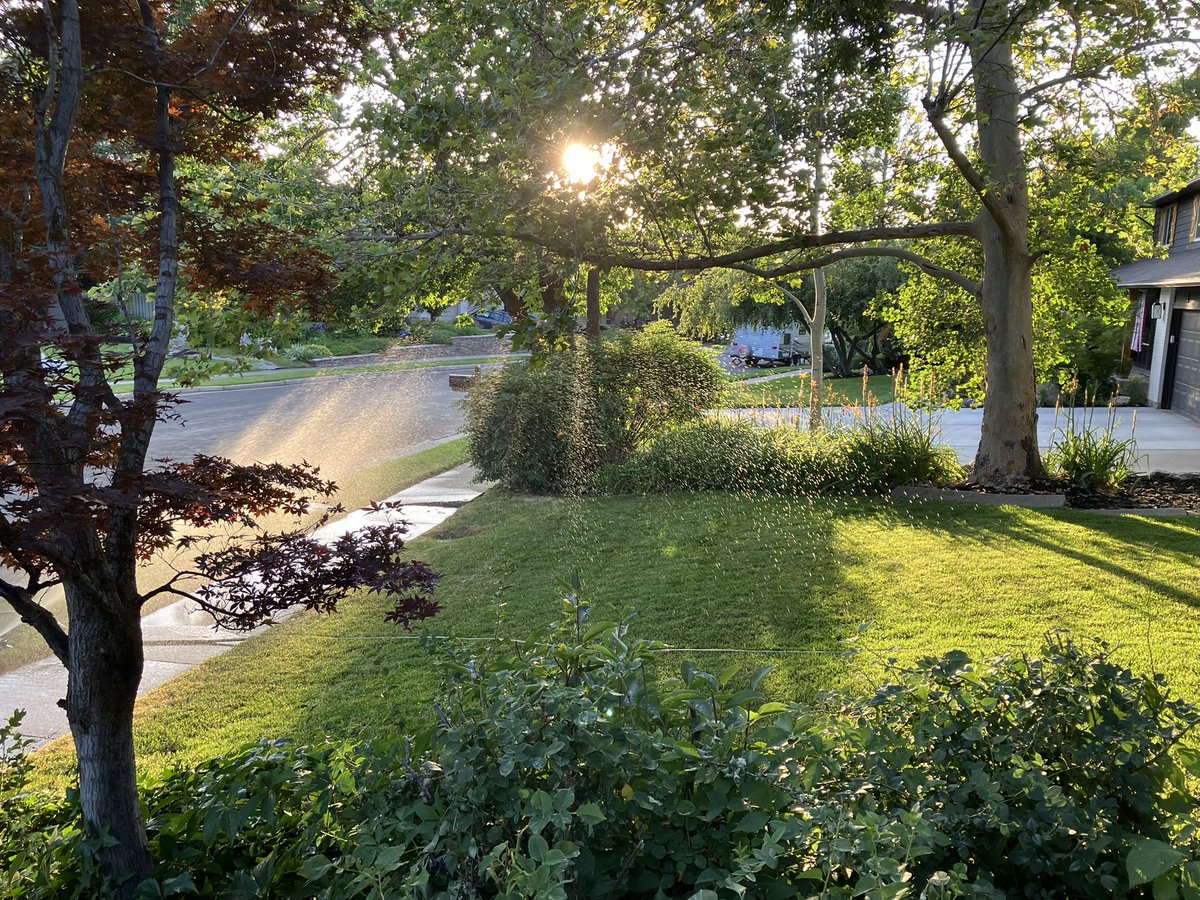benjilking's tweet photo. @OutKickTNML @JoeKinseyexp It’s that time of year in Utah when the yard starts looking thirsty. Doing a little supplemental irrigation after a fresh TNML cut. https://t.co/Kkenn7KAGu
