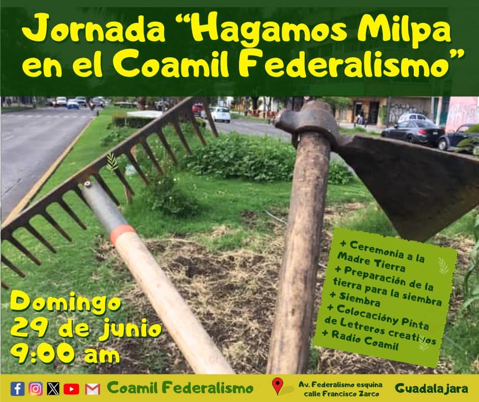 ¡𝗩𝗲𝗻𝗴𝗮𝗻 𝗮 𝗹𝗮 𝗳𝗶𝗲𝘀𝘁𝗮 𝗴𝗿𝗮𝗻𝗱𝗲 𝗱𝗲𝗹 𝗖𝗼𝗮𝗺𝗶𝗹!
Arrancamos con la primera jornada de la Siembra 2025
¿Nos acompañan a cultivar un pedacito de otra ciudad posible?
¡A rolar la voz!