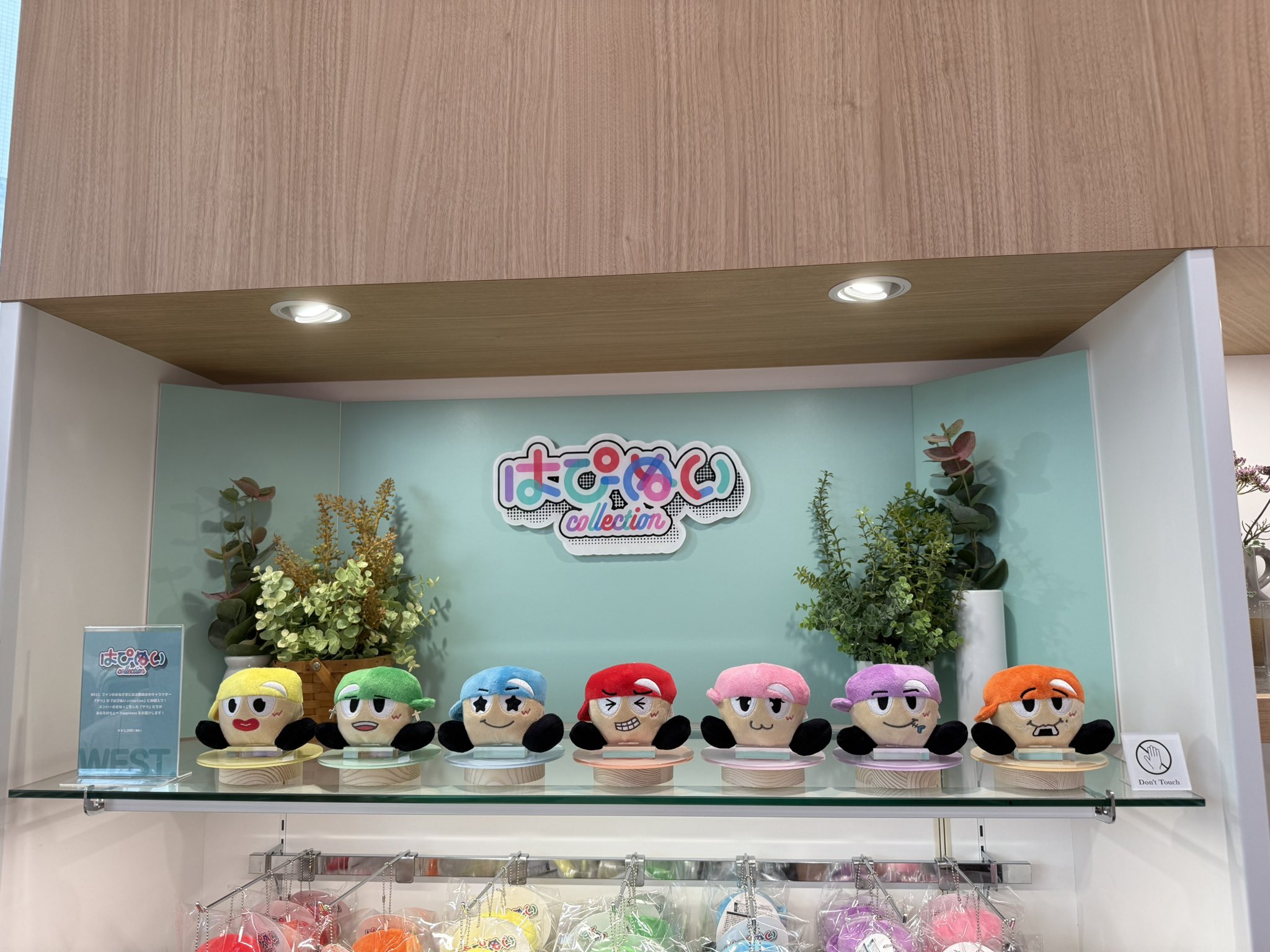 全員分セット！ヤツぬいWEST