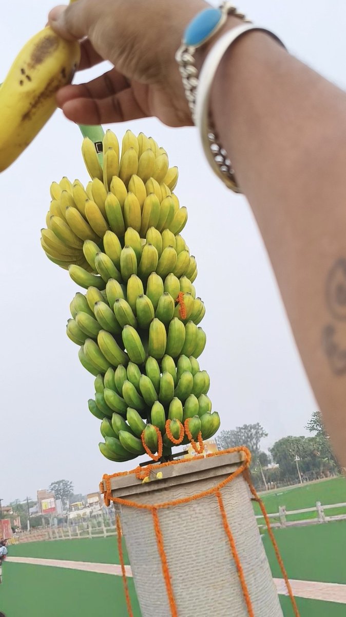 dkazad3's tweet photo. The Identity Of Hajipur 🍌 मालभोग केला https://t.co/HM1QqPdcYv