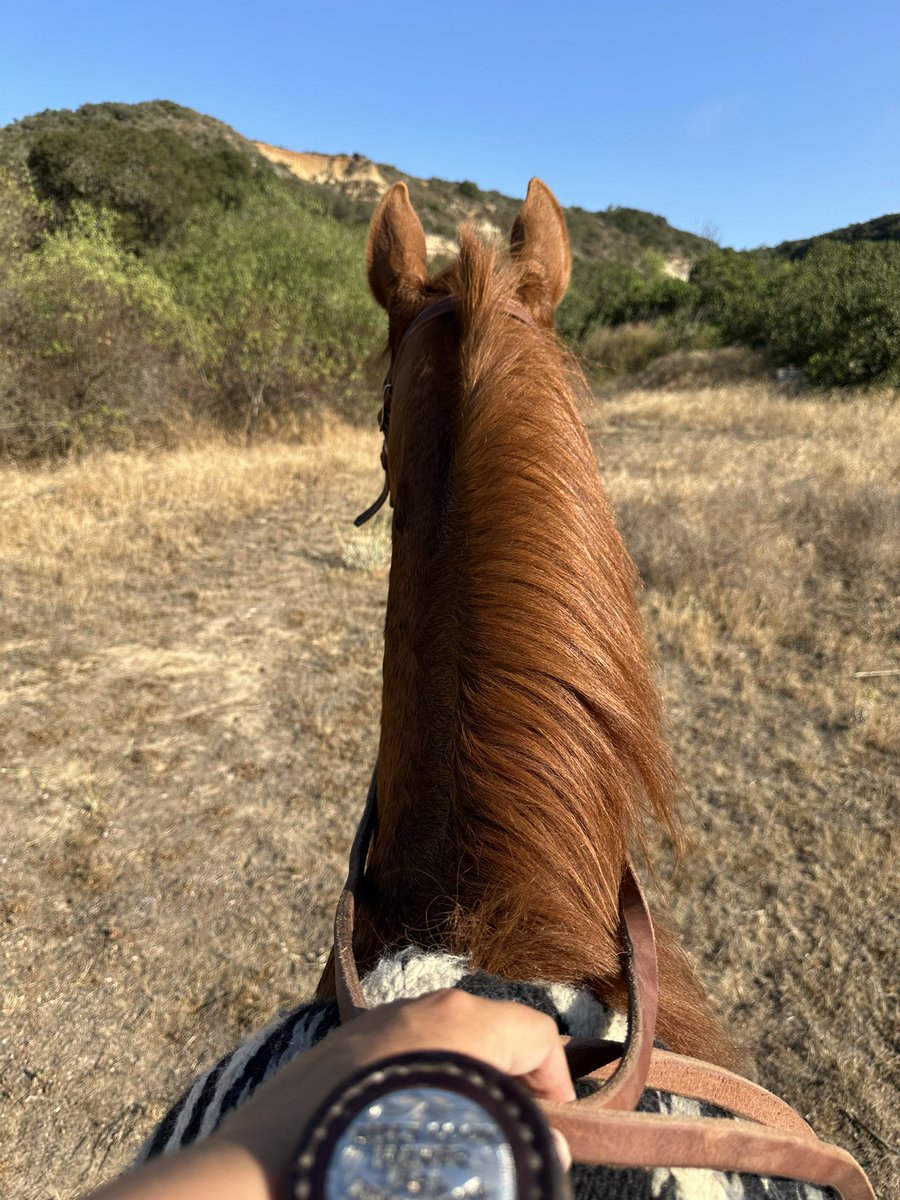 Julie Witt tweet media