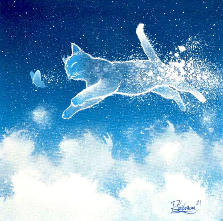 We see many families have lost fur friends in the past several days, so we're sending out hugs to everyone who's saddened by a loss tonight. (And the next time you see a light flash across the sky, remember it may just be your beloved cat or dog chasing a celestial butterfly💖)