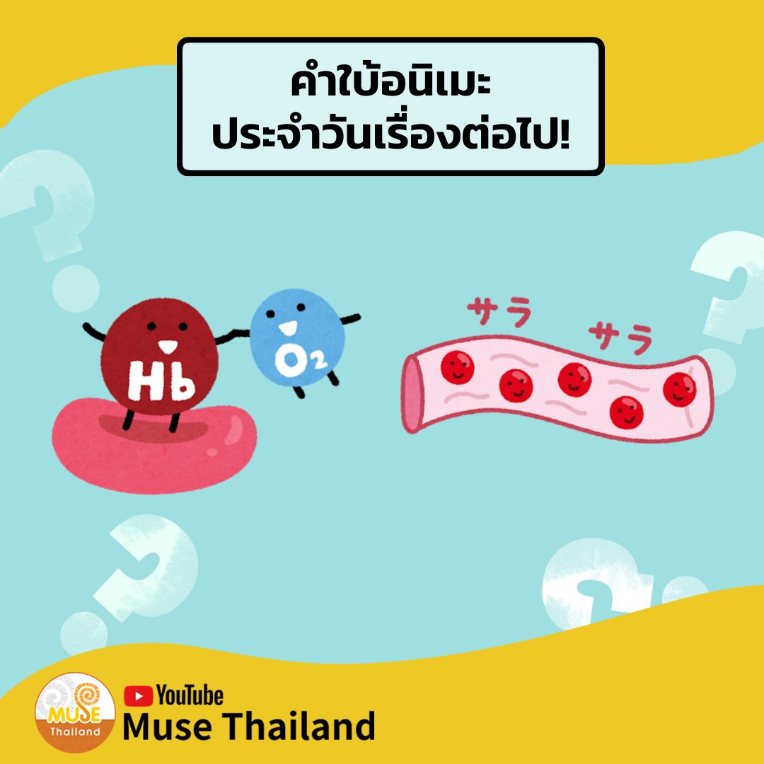 💡【คำใบ้อนิเมะประจำวันเรื่องต่อไป】💡

สวัสดีครับทุกท่าน ในวันที่ 28 มิถุนายนนี้ เวลา 18:30 แชแนลเราก็จะมีอนิเมะซับไทยมาอีกเรื่องนะ มาเดากันเถอะว่าจะเป็นเรื่องอะไร!

แชแนล Muse Thailand : @MuseThailand
#Muse #MuseThailand