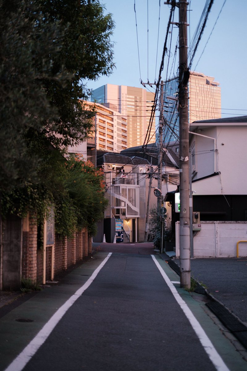 Javier Bórquez tweet media