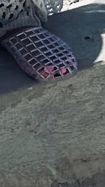 TheGoddessAllyy's tweet photo. My babies was stuck in a cage 🥺 some one set them free pwease daddy? https://t.co/3VbpjLFjsE