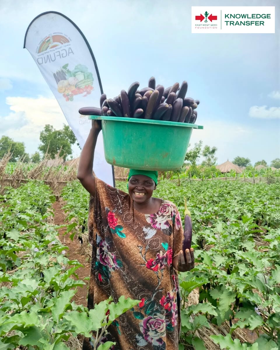 eastwestseed's tweet photo. First Farmer Field Day in Ofua 3 refugee settlement, Uganda! Farmers gathered to learn about eggplant production, hear success stories, and explore vegetable farming as a business. https://t.co/6DL9wpRBeu