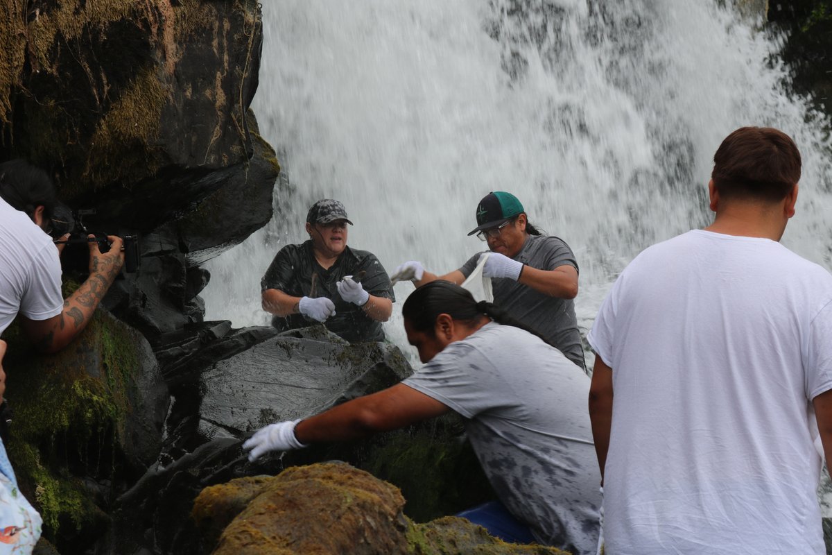 Yakama Nation fishers harvested and celebrated lamprey today in Oregon City. oregoncitynewsonline.com/2025/06/26/reg…