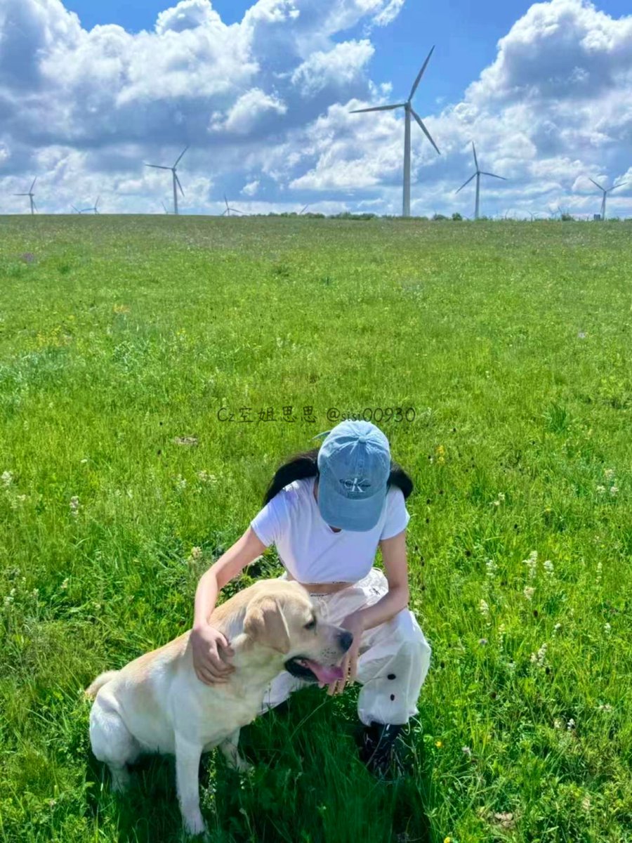 sisi00930's tweet photo. 摸摸你 真乖～
汪几声来听听🐶

#贱狗 #生活 https://t.co/Fr6FxOT6Is