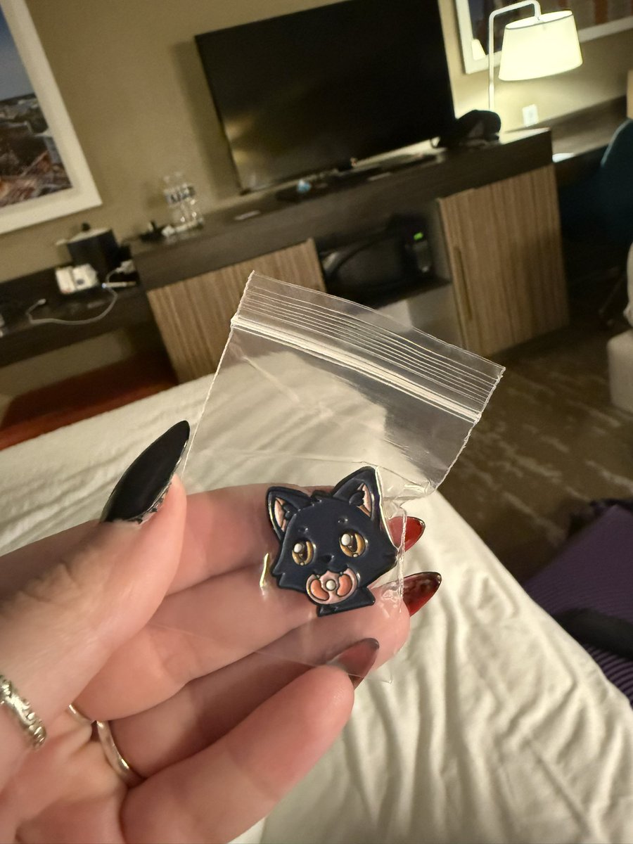 If you find <a href="/VNCEOfficial/">VNCE</a> or I during the watch party or during RLCS come get your free pin! (It’s Spookley with ham in his mouth) 

All of them are engraved on the back ❤️