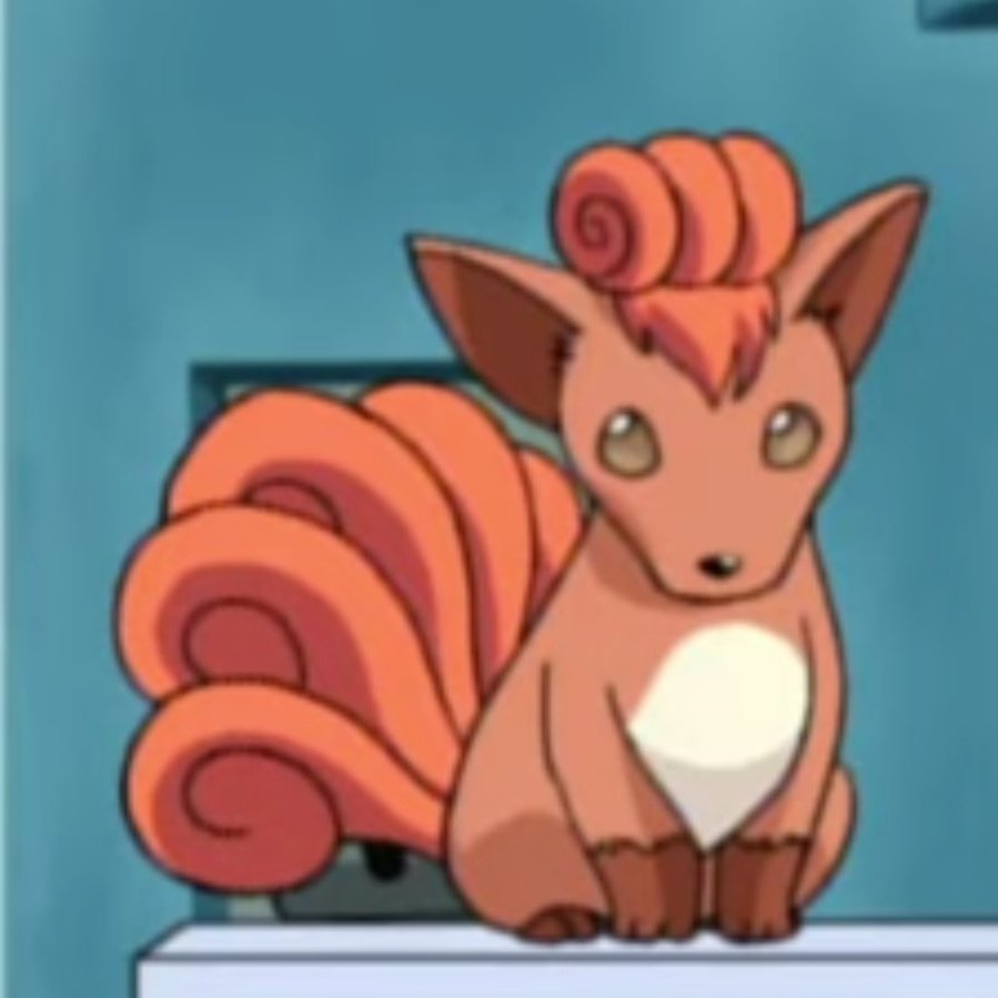 Vulpix Propaganda tweet media