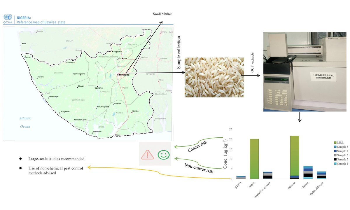 📢 New Article Title: Preliminary assessment of organochlorine pesticide residues and associated health risks in locally processed rice after Nigeria’s 2022 importation ban
👨‍🔬oaepublish.com/articles/jeea.…
#Pesticides #FoodSafety #Nigeria #PublicHealth