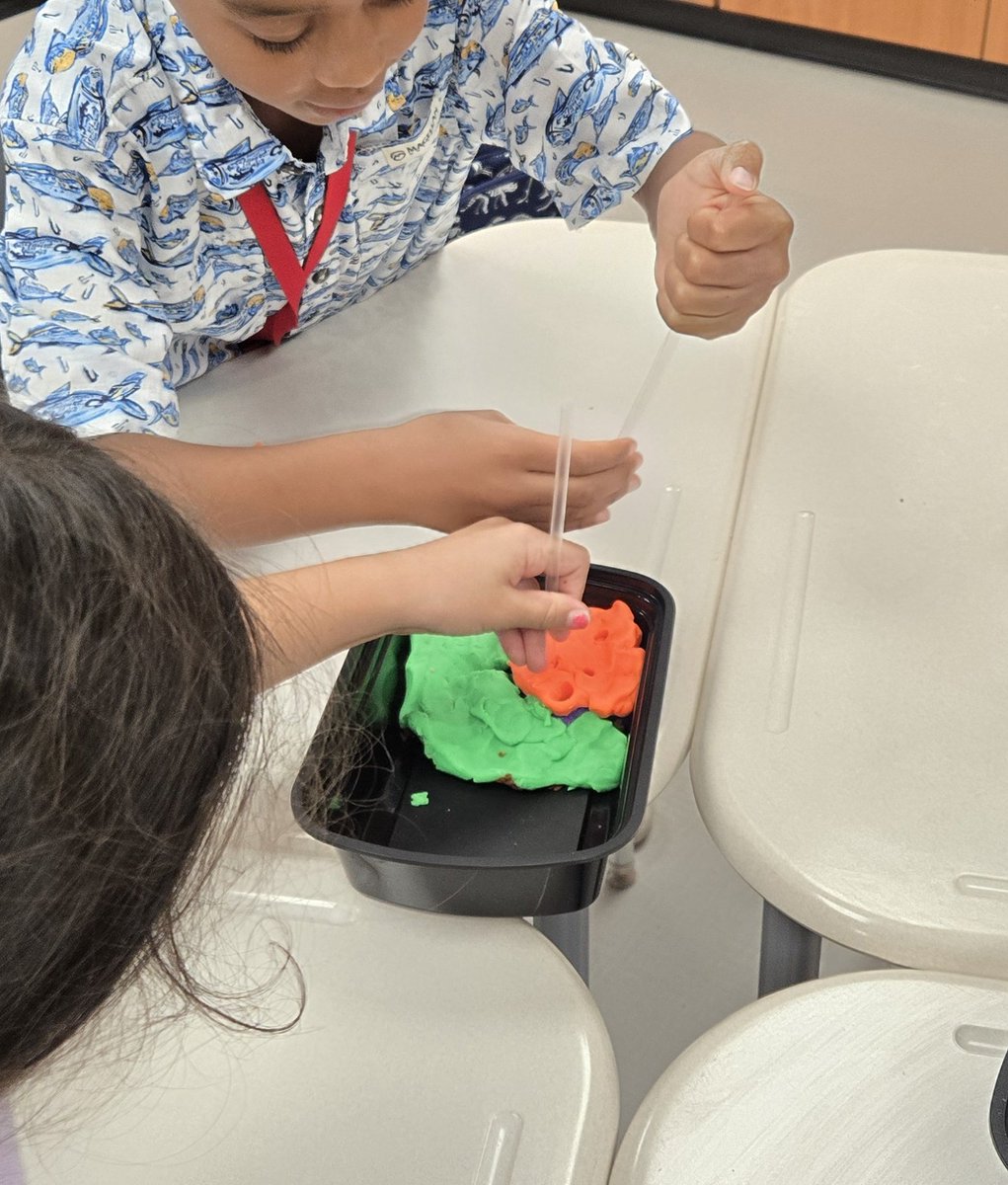 ms_ctran's tweet image. My first week of summer school at #CampCaptivate has been a whirlwind! I tapped into my former science teacher self, and I&apos;ve been thrown back to 2nd-3rd grade science. I feel right at home. 🤓📚🧪🔍 @CyFairISD @CFISDScience #CFISDSPIRIT  @CFISDCOMMPROG