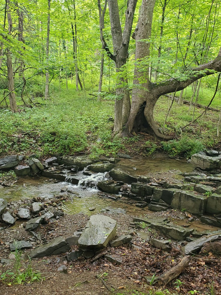 He leads me beside still waters.

Psalm 23:2