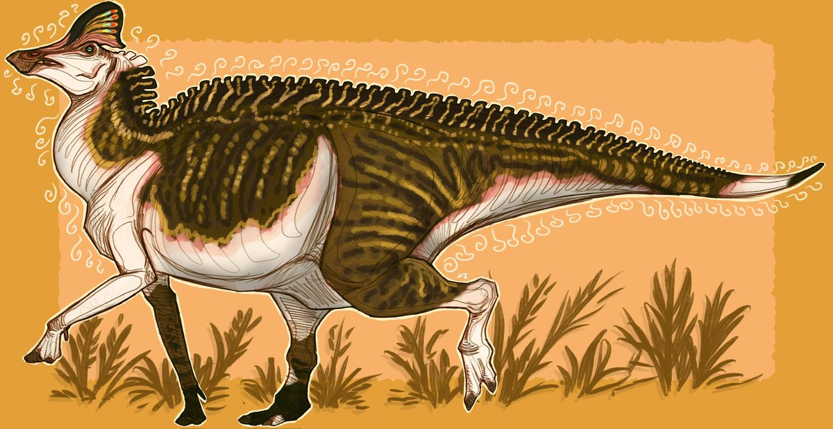 DinoDJ14's tweet image. Piebald duck horse
ft. Corythosaurus intermedius