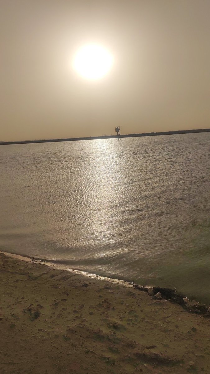 شاطئ القوارب