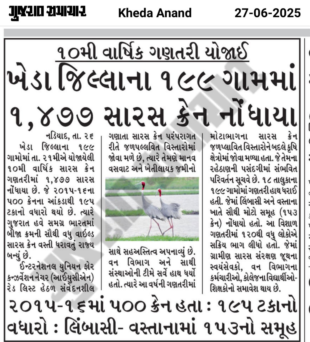Deputy Collector & SDM Kheda (@sdmkheda) on Twitter photo Kudos to the efforts of Forest Department ! #PositiveNews <a href="/collectorkheda/">Collector Kheda</a> <a href="/infokhedagog/">Info Kheda GoG</a> <a href="/CMOGuj/">CMO Gujarat</a> <a href="/InfoGujarat/">Gujarat Information</a> <a href="/GujForestDept/">GujaratForestDept</a> Kudos to the efforts of Forest Department ! #PositiveNews <a href="/collectorkheda/">Collector Kheda</a> <a href="/infokhedagog/">Info Kheda GoG</a> <a href="/CMOGuj/">CMO Gujarat</a> <a href="/InfoGujarat/">Gujarat Information</a> <a href="/GujForestDept/">GujaratForestDept</a>