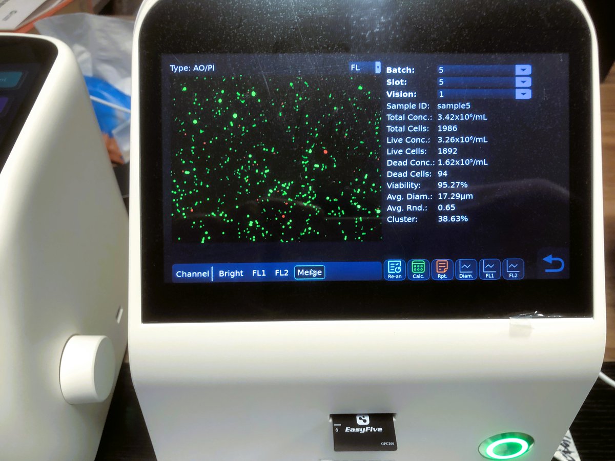 alvin_yau10268's tweet image. 🔬 See the Tuger Fluorescence Cell Analyzer in action!
Fast, accurate, and user-friendly — your reliable lab partner.
🌍 We’re looking for global distributors to join us.
📩 DM us if you&apos;re interested!

#CellAnalyzer #LabTech #Fluorescence #LifeScience #DistributorWanted #Biotech