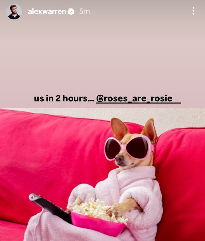 adoro que a ella no le importa hacer lo típico que hacen los artistas al sacar canciones y lo mejor de todo siempre colabora con personas que le siguen la corriente 😭