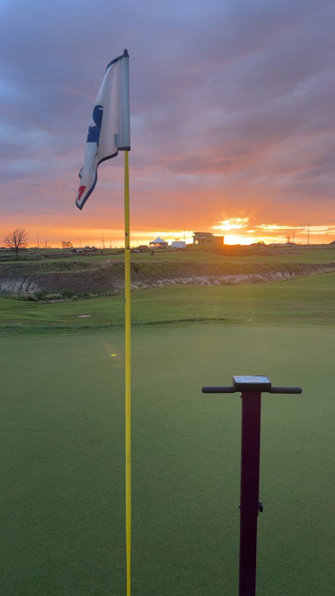 Hadley Reynolds tweet media