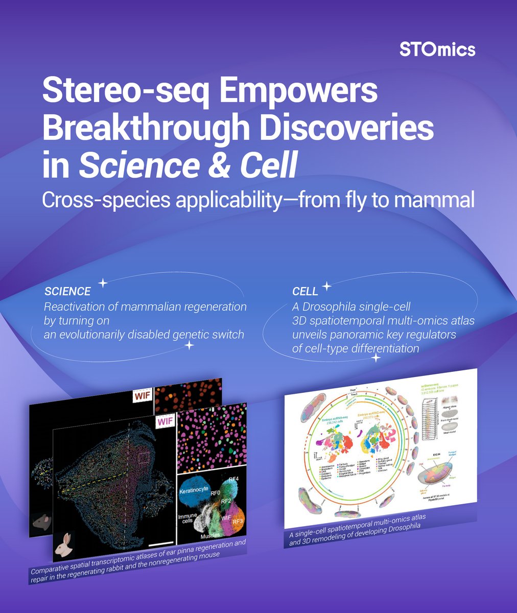 ST_Omics's tweet image. Exciting news! 🎉 Stereo-Seq is featured in CELL and Science, showcasing breakthroughs in spatial biology across species. 🔬Stay tuned—staying at the forefront of spatial omics! 🌟 #StereoSeq #SpatialBiology #STOmics
