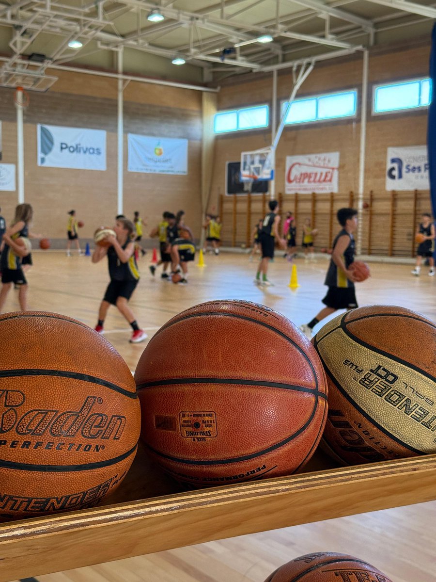 Club Bàsquet Consell tweet media