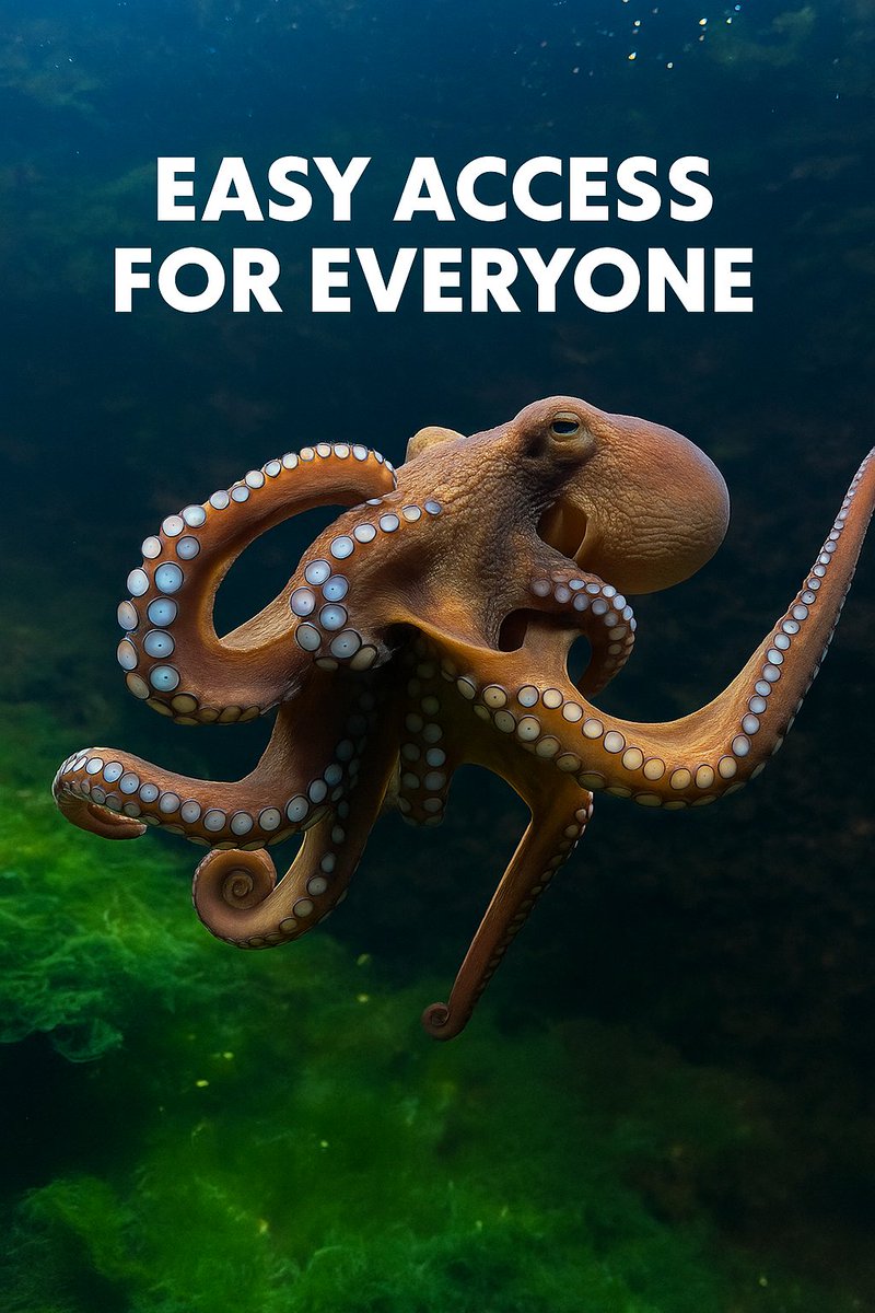 8TentacleT's tweet photo. Why Octo Defi?
#octodefi #web3 #accountabstraction https://t.co/hjFjDolE9w