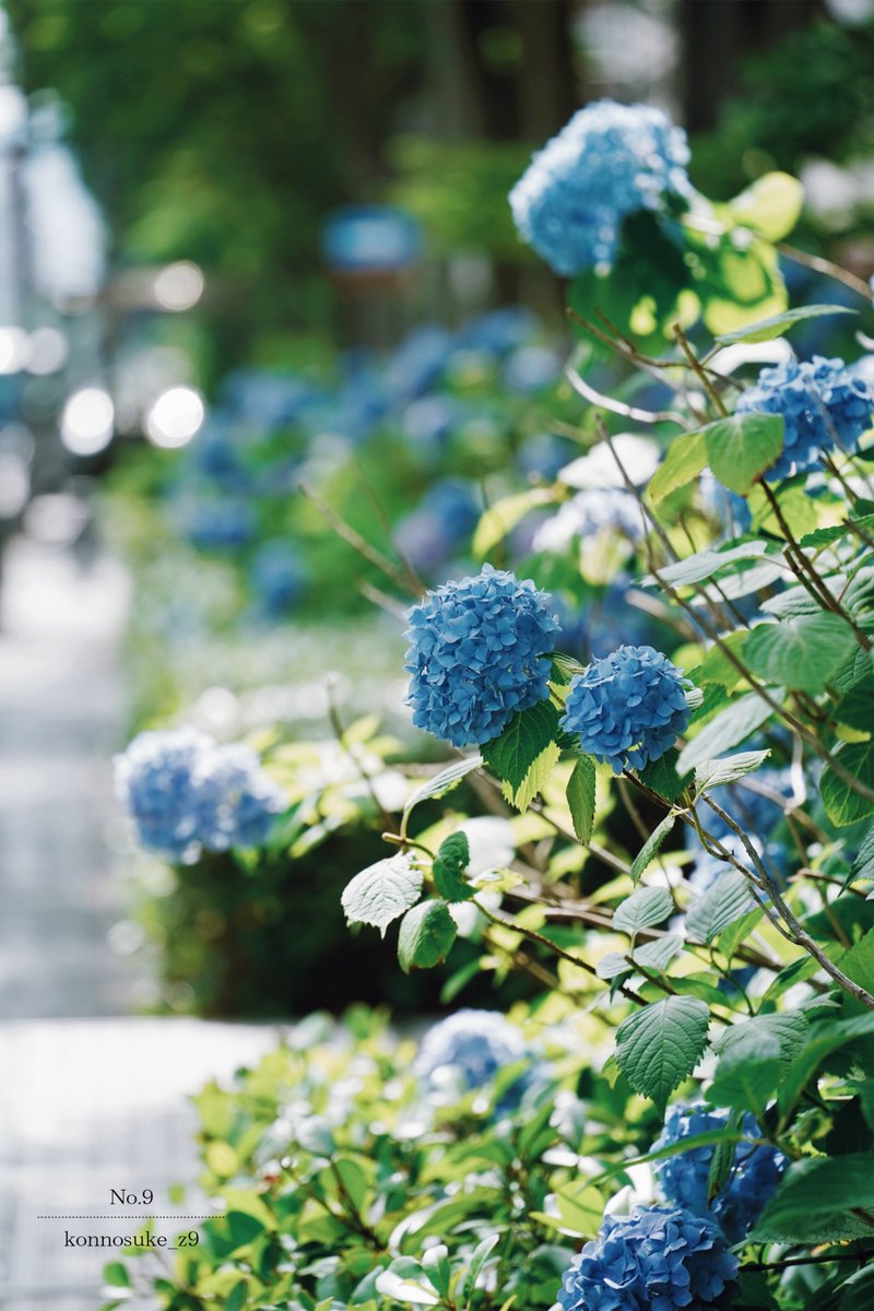 ▷ I wish you a good day.  …