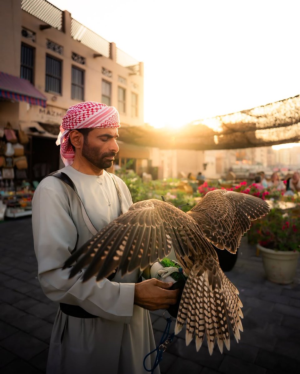 Rooted in history, soaring in spirit 🧡 

This scene in Old Dubai tells a story of identity, pride, and connection to the land. From falconry to storytelling, it’s here that the past still takes flight.

📸 IG/rohan.sajeev

#VisitDubai