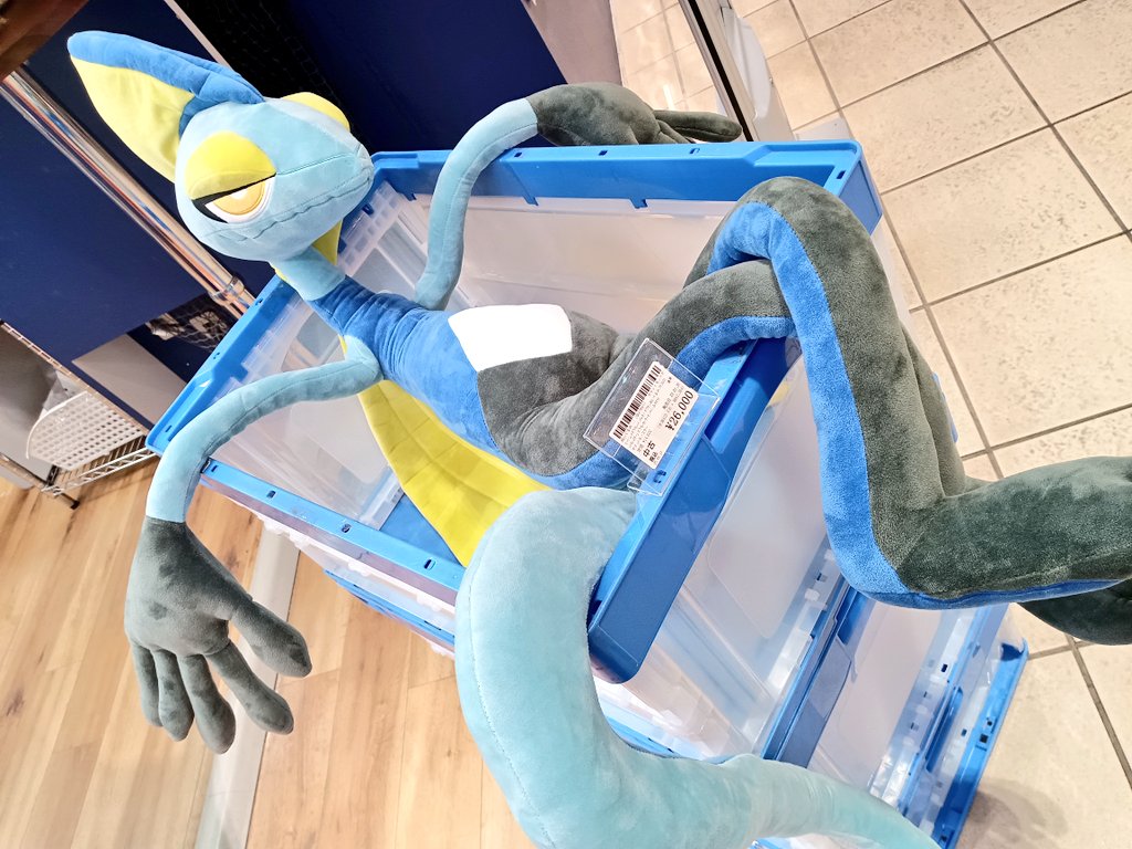 エージェントポケモン！ インテレオン ぬいぐるみ 入荷しました