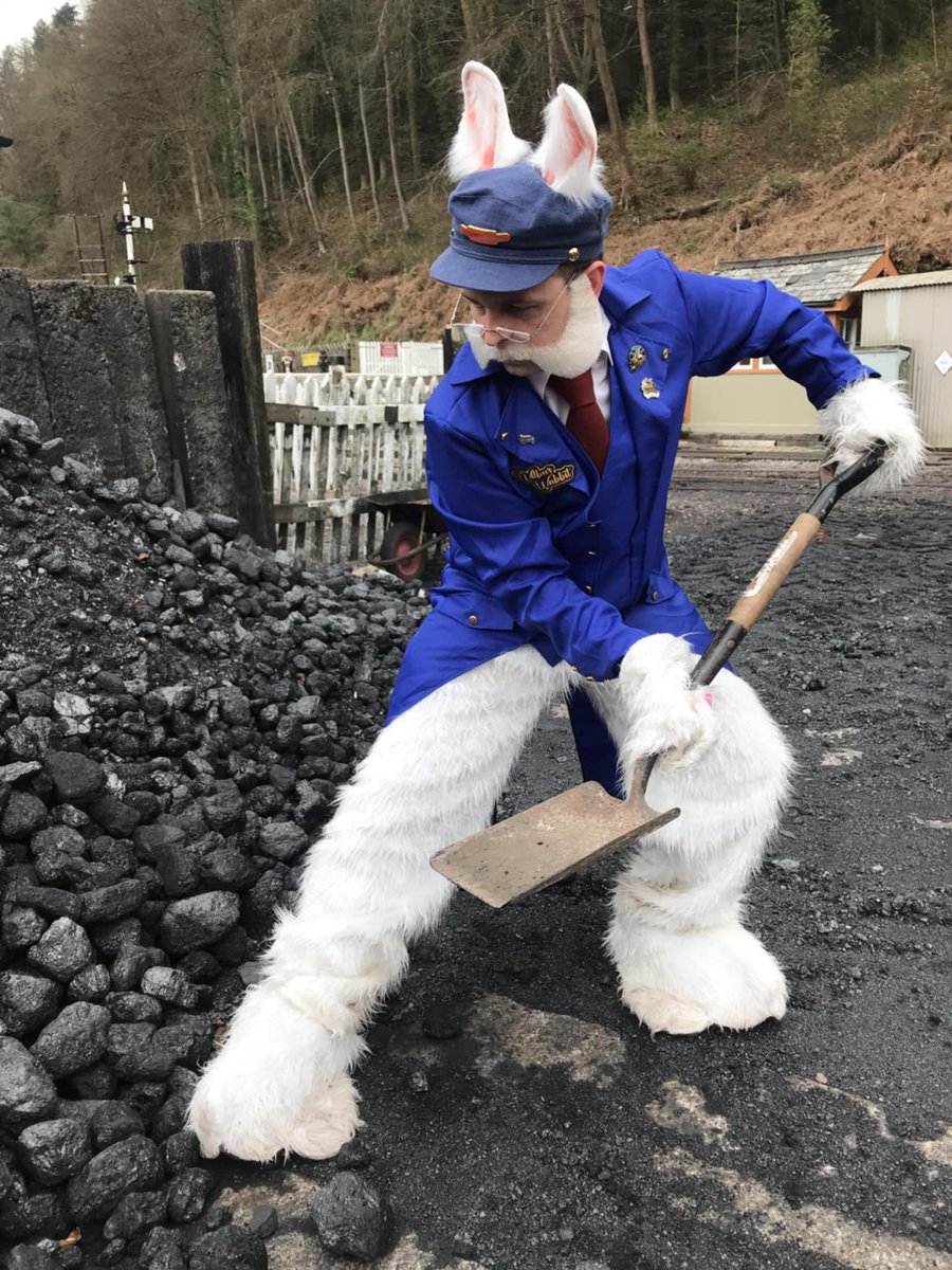 The Forest Railway Stories tweet media