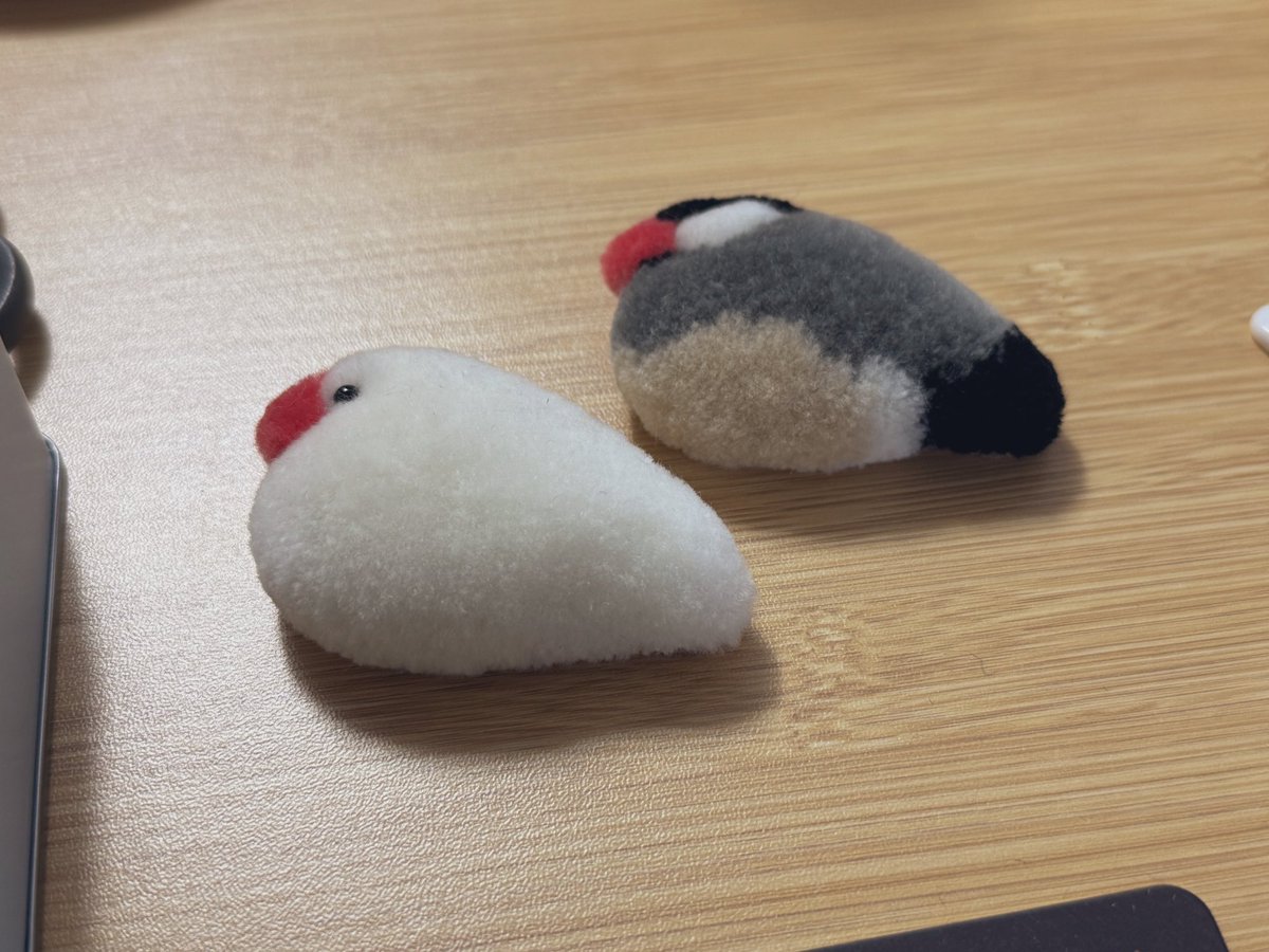 よいぷっくり感
#尾張文鳥博