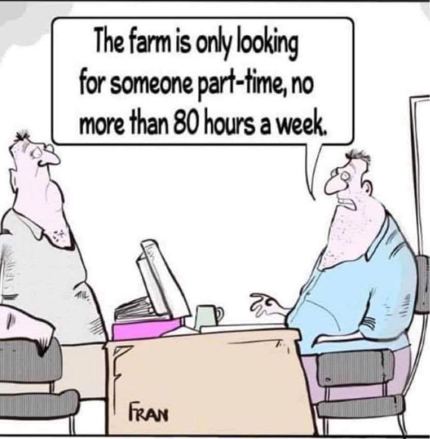 David Minkey (@minkeymates) on Twitter photo 