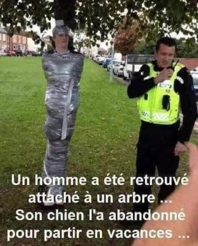 Bonne journée 😘 😽