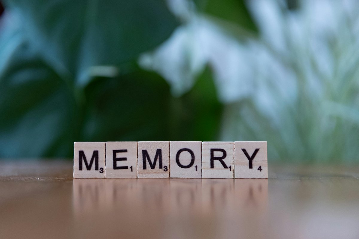 Healthonics's tweet image. Be active &amp;amp; stay active! according to study @universityofga regular #physicalactivity can reduce the risk of #dementia in older #adults, by improved circulation of oxygen rich blood to the brain, growth of new brain cells and slowing down brain aging tinyurl.com/3ja9unc4