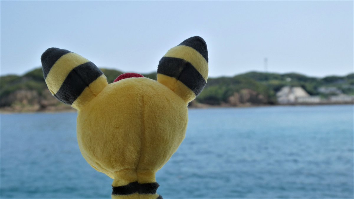 nagasaki_denryu's tweet image. 【デンリュウとお散歩⚡対馬編④】
対馬には美味しい食べ物がたくさんあります!
写真は対馬名物の「いりやきそば」です。「いりやきそば」は「いりやき」という対馬の郷土料理を対州そばと食べるものです。
美味しいもの、美しい自然を満喫できる対馬!ぜひ訪れてみてください!
#デンリュウとお散歩