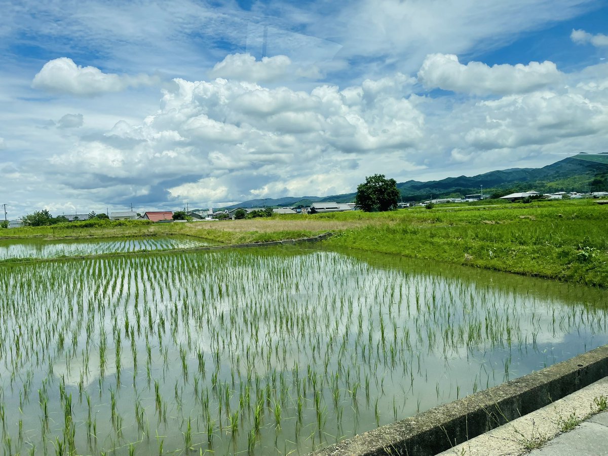 取材で伺った奈良県某所…
水を張った田んぼに空が映り、綺麗ですがとにかく暑い…💦
#ヤップ #YAP佐々木