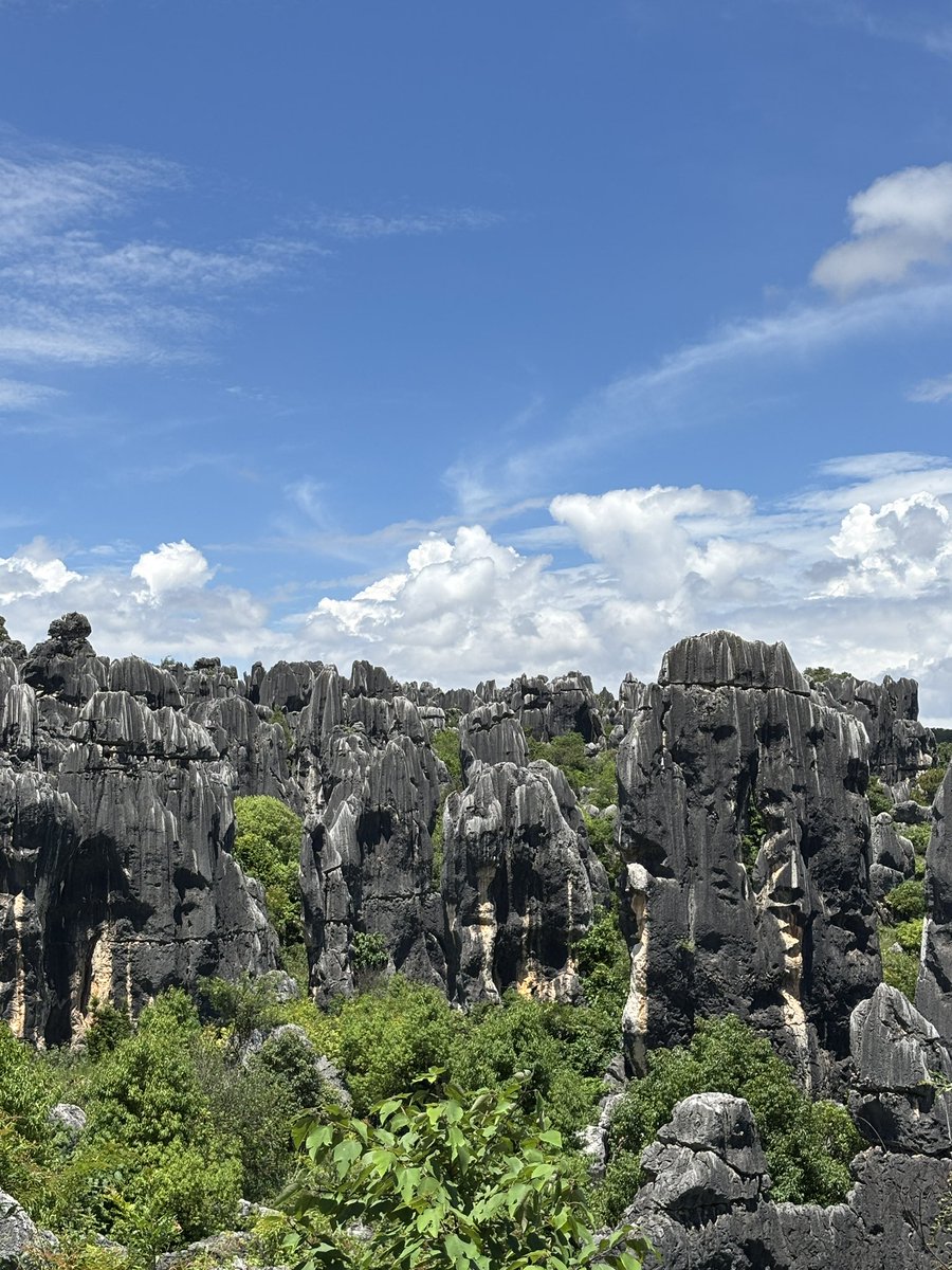 SHTG15's tweet photo. 最後にまったり中国国内旅行✈️その6
【昆明石林】
世界遺産７つ目、最後は石林🪨
案内板がテキトー過ぎて30分迷子、本線に戻った時は、途中で出会った迷子おじいを引き連れてましたw
ぴーかん🌞&amp;石の間を縫うように歩く4時間半、14.6km😵
帰りの高铁で足攣った😭

明日、日本に戻ります
新生活♪ https://t.co/LjGJXfNova
