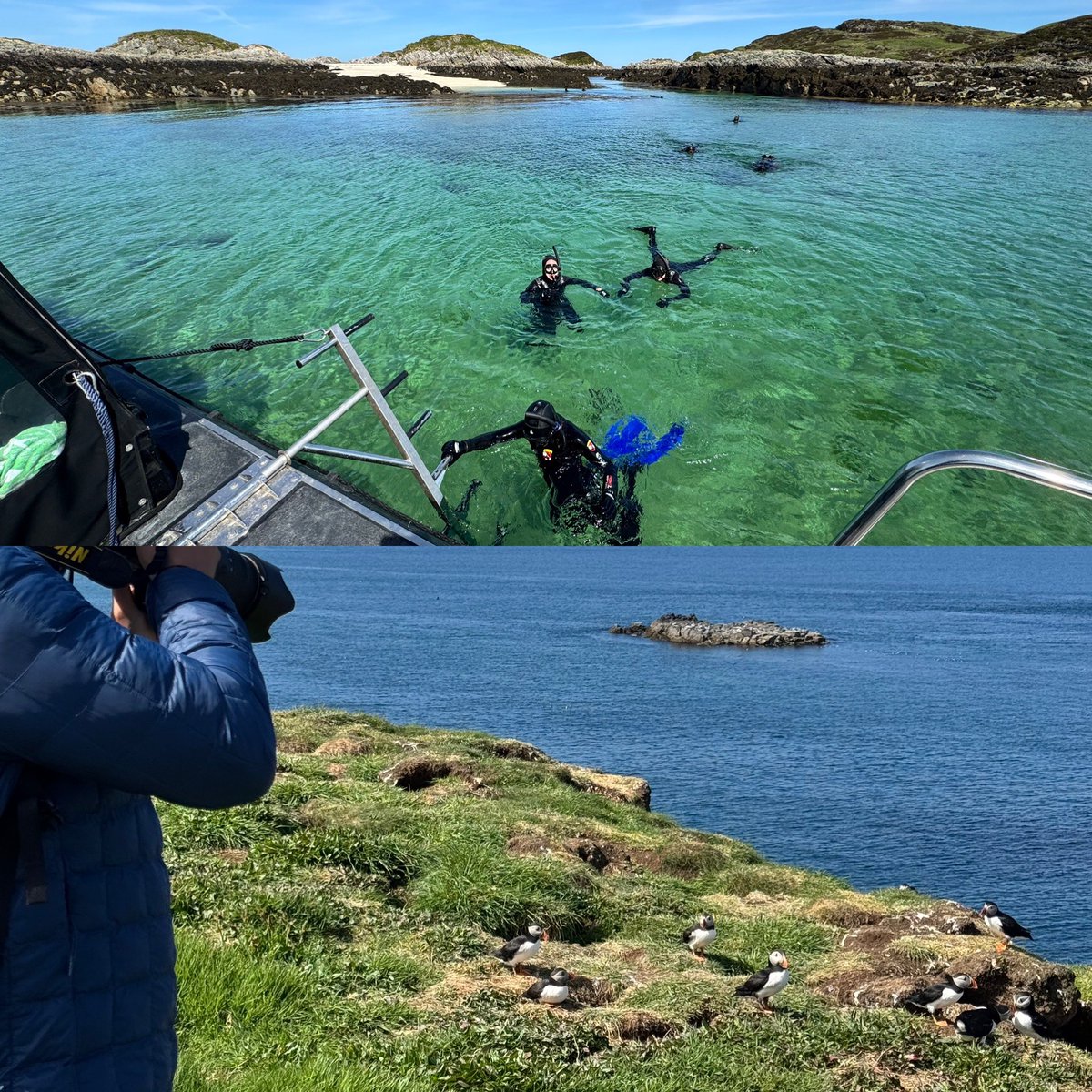 Spaces for both our guided lagoon snorkel &amp; puffin landing tours on Sunday. 0830 from Oban 0945 from Tobermory’s Mull.