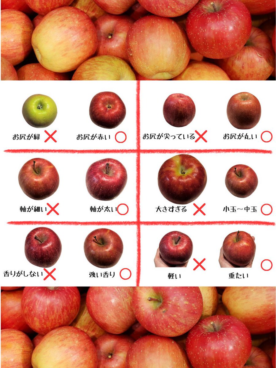 tetsublogorg's tweet photo. 甘いりんごの見分け方 https://t.co/uOOBxVHi2W