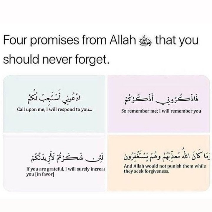 Four promises of Allah that you should never forget...