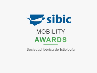 🎓💼 ¡Becas SIBIC Mobility Awards!
Ayudas para estancias cortas y asistencia a congresos internacionales, dirigidas a estudiantes de doctorado y jóvenes investigadores/as en ictiología ibérica para socios de SIBIC.
📅 STSM: hasta 31 octubre
📅 TF: hasta 31 agosto